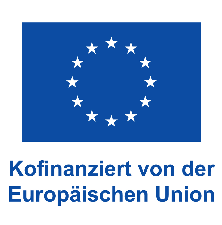 EU Logo