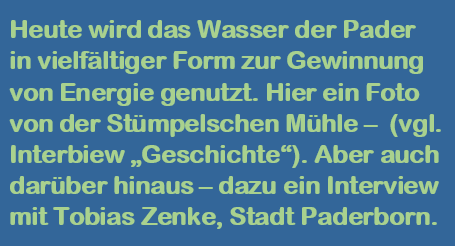 Anleser Enegeie DE