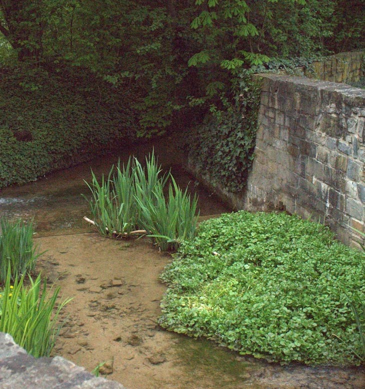 Paderecke
