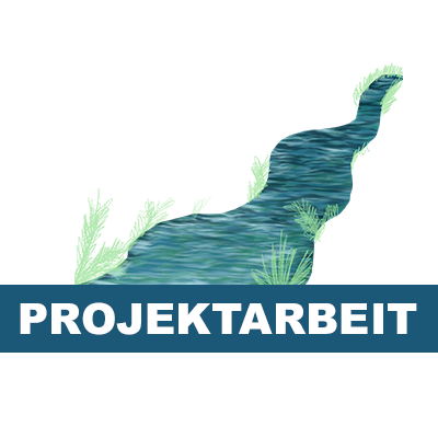 Projektarbeit